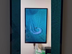 10.1 Zoll Stangentyp TFT-Display 1200*1920 Auflösung MIPI-Schnittstelle 1000cd/M2