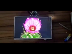 10.1 Zoll TFT-Display-Modul, 1280X800 DOTS, LVDS-Schnittstelle, Steuereinheit EK79202B1.1000 Nits