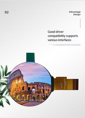 1.6 inch IPS TFT LCD Module with 400RGBx400 Resolution and RGB Interface