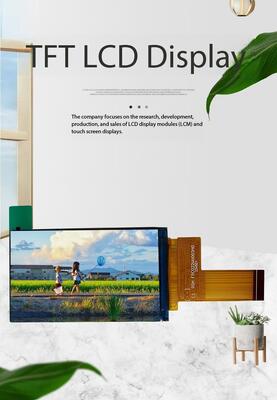 2.19 Zoll IPS TFT Farbbildschirm mit 480*800 Auflösung und MIPI-Schnittstelle